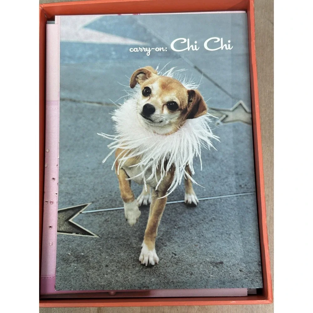 Papyrus Carry-Ons Traveling Chihuahuas Note‎ Cards 20 Ct Envelopes Multicolor